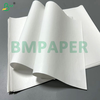 55 gm 60 gm Papel térmico em rolos Jumbo imprimível Largura 800 mm 900 mm