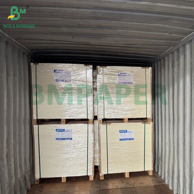 Papel para embalagem de alimentos congelados de alta rigidez 275gsm + 15g PE revestido 635 X 902mm