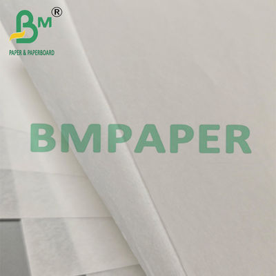 Papel Graxa Compostável Branqueado para Embalagem de Fast Food - 7ª Série