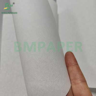 Papel de filtragem de café de polpa de bambu branco e marrom
