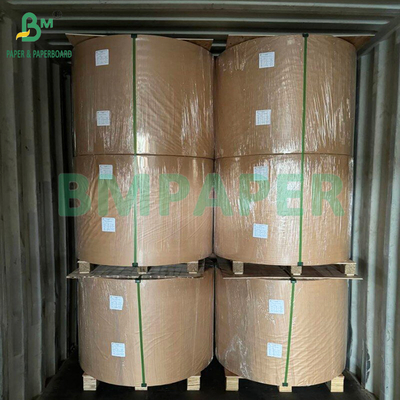Papel de filtragem de café de polpa de bambu branco e marrom