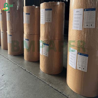 Cartão de Cartão Congelado Impermeável de 270grs 300grs para Embalagem de Camarão 70 x 100cm