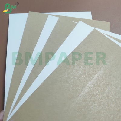 Folhas de Papel Base para Copos à Prova de Vazamento, Revestidas com PE em um Lado, 250+15 gsm
