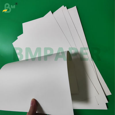 Papel Kraft Impermeável 300g + 18g PE para Saladeiras 880mm 975mm