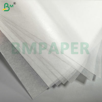 Fruit And Vegetable Protective Bag Paper Waterproof Far Away From Pest And Birds