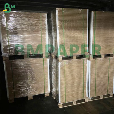 Papel para Impressão Térmica Direta Multiuso para Escritório, Papel Branco 75g/m²