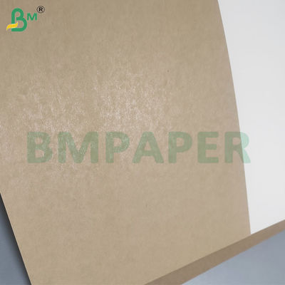 Folhas de papel base para tigela de alta rigidez com revestimento PE de 350gsm+20gsm