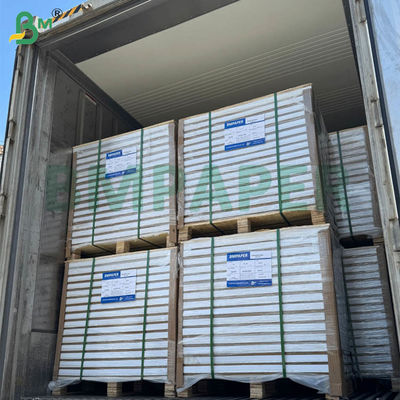 Papel Autocopiativo NCR 55gsm 60gsm Sem Carbono Folhas Estendidas em Branco 70x100cm 61x86cm