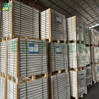 Papel Autocopiativo NCR 55gsm 60gsm Sem Carbono Folhas Estendidas em Branco 70x100cm 61x86cm