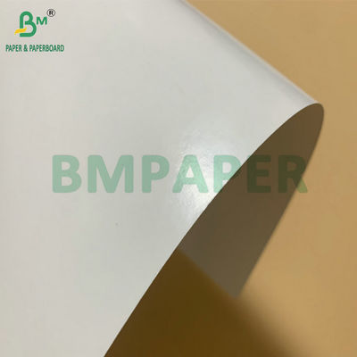 SBS Papelão congelado PE revestido 325gm Para fazer caixa de embalagem de camarão congelado