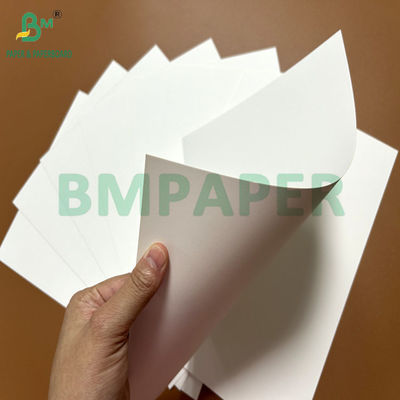300gm 350gm 400gm Revestimento 1 lado Bristol papel de placa para caixa dobrável 22,5 " × 28,5 "