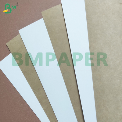 Resistente ao calor PE revestido de cápsulas Folhas de papel de estoque ecológico