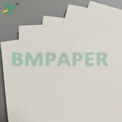 Recyclable Yes SBS Paperboard 1194mm for Packaging Printing and Sale