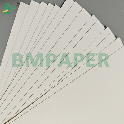 Recyclable Yes SBS Paperboard 1194mm for Packaging Printing and Sale