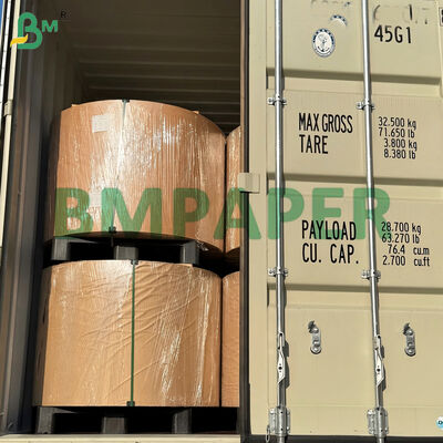 Revestimento em PET de papelão resistente ao calor para placas de papel descartáveis