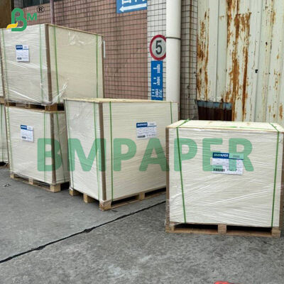 Papel Especializado para Tigelas e Pratos de Grau Alimentício / Papel para Pratos, Revestido com PET