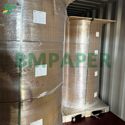 Papel Especializado para Tigelas e Pratos de Grau Alimentício / Papel para Pratos, Revestido com PET