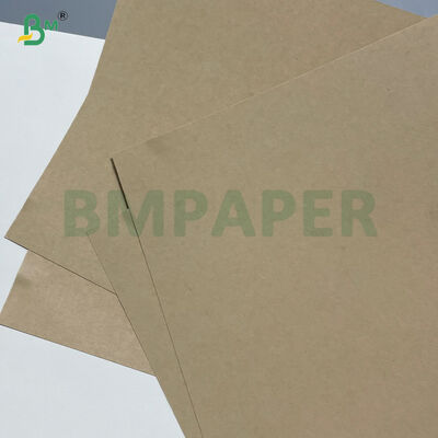 260GSM+ 18GSM FDA Papel Kraft de Bambú Degradável Com Papel de Taça Revestido PE / PLA