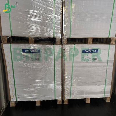 68lb 80lb C/1S Premium Papel revestido de um lado 25 polegadas X 38 polegadas Folhas brancas em branco