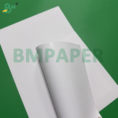 68lb 80lb C/1S Premium Papel revestido de um lado 25 polegadas X 38 polegadas Folhas brancas em branco