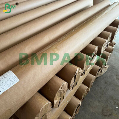 Papel para Chão de Granja de Aves de Alta Absorção Branco 74 cm X Rolo de 200 Metros