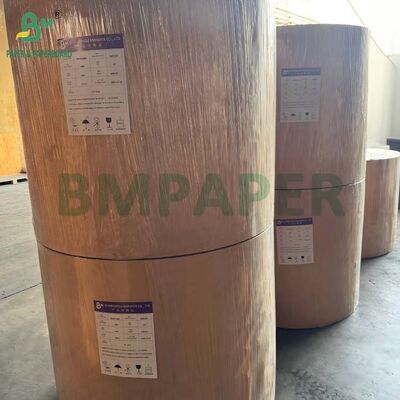 Cartão C1S brilhante de um lado 16pt 18pt 24pt para embalagem blister clamshell