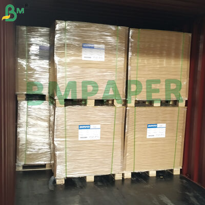 Papel Absorvente para Porta-Copos de Cartão de Polpa Não Revestido 0,7 mm para Porta-Copos de Cerveja