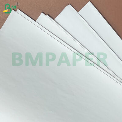 Folhas de papel térmico de 55 gm/65 gm adequadas para utilização no exterior