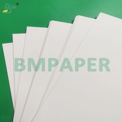 190-350gsm + PE Coated Cup Stock Paper Sheets Leak Resistant