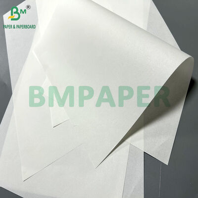 Papel branco para cuidados de saúde de 40 gramas, imprimível e transparente, para instruções médicas, 65 x 86 cm