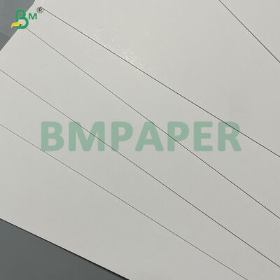 280gsm White  Heat Seal Coating One Side Coated Cardstock For Blister Packaging
