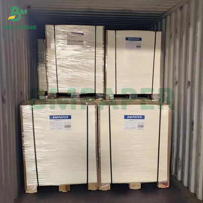 Cartão absorvente não revestido de 600um 700um 800um para fazer porta-copos