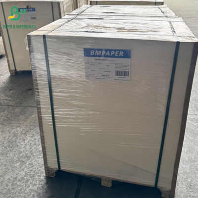 Cartão de Beermat de 1MM 2MM 3MM 70cm X 100cm para Fazer Porta-Copos de Papel Absorvente