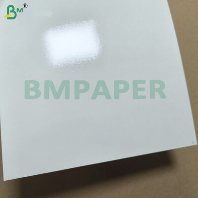 Papel branco revestido com PET para pratos e pratos resistentes ao calor