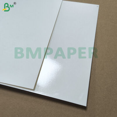 Papel branco revestido com PET para pratos e pratos resistentes ao calor