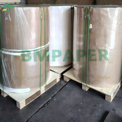 Papel branco revestido com PET para pratos e pratos resistentes ao calor