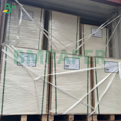 a folha crua do papel da polpa do bagaço da cana-de-açúcar 300gsm biodegradável certificou 787mm x 1092mm