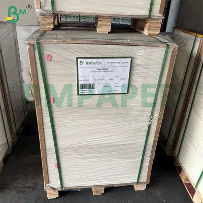 a folha crua do papel da polpa do bagaço da cana-de-açúcar 300gsm biodegradável certificou 787mm x 1092mm