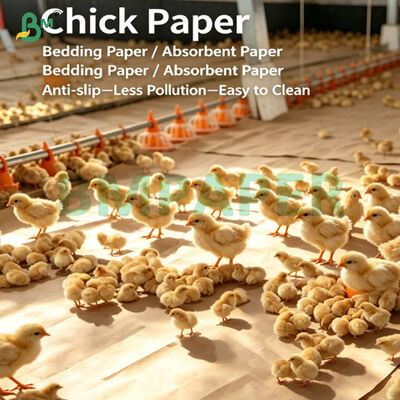 Forte revestimento Kraft absorvente de isolamento para a criação de aves de capoeira jovens