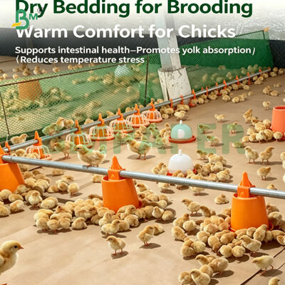 Papel de cama biodegradável resistente à umidade para aves para pintinhos