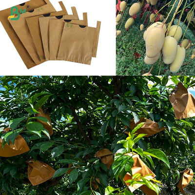 56g Amarelo Lustroso Exterior Mate Negro Interior Mango Saco de Frutas Rolo de Papel