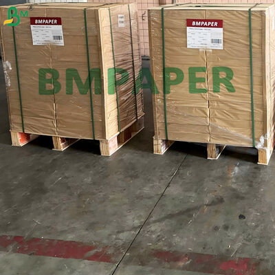 20 gm de papel separador de tortilhas de qualidade alimentar