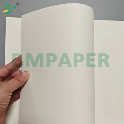 O papel do recipiente de alimento do produto comestível cobre 190gsm + revestimento do PE