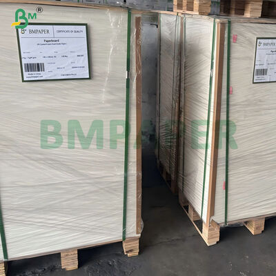 papel revestido PE impermeável 180–350gsm para a bacia descartável do macarronete instantâneo