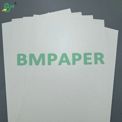 Papel compostável revestido de PLA de 170-400 g/m² para copos de bebidas quentes e frias