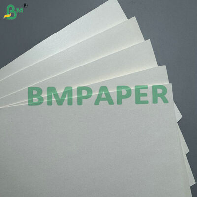 Papel compostável revestido de PLA de 170-400 g/m² para copos de bebidas quentes e frias