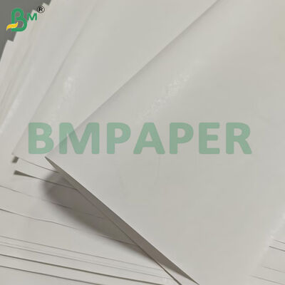 Rolos Jumbo de Papel Térmico com Largura Personalizada de 55gsm para Etiquetas