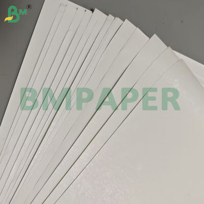 Rolos Jumbo de Papel Térmico com Largura Personalizada de 55gsm para Etiquetas