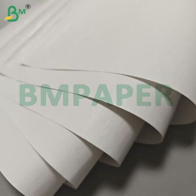 Rolos Jumbo de Papel Térmico com Largura Personalizada de 55gsm para Etiquetas