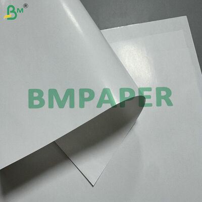 Material para Envelope Externo de Sachê de Chá em Papel C1S 80gsm Brilhante com Selagem Forte por Crimpagem